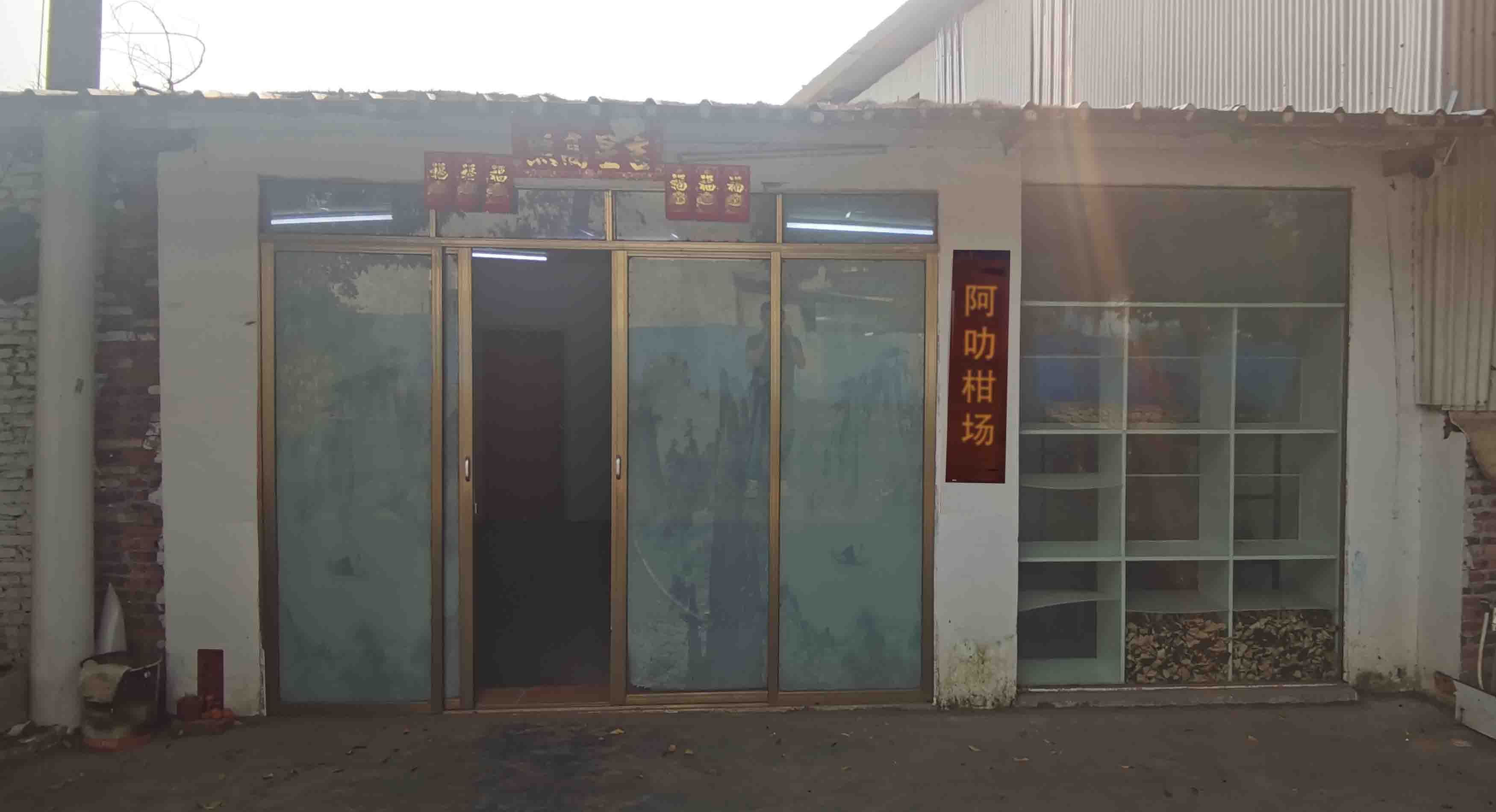主体照片 1