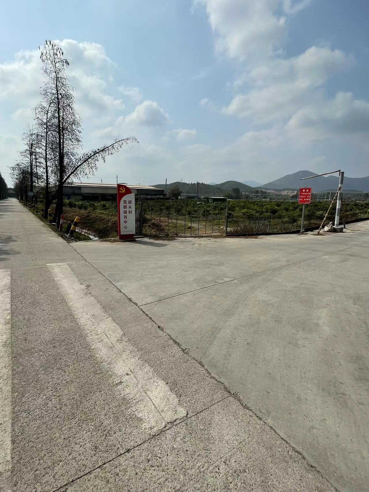 主体照片 4