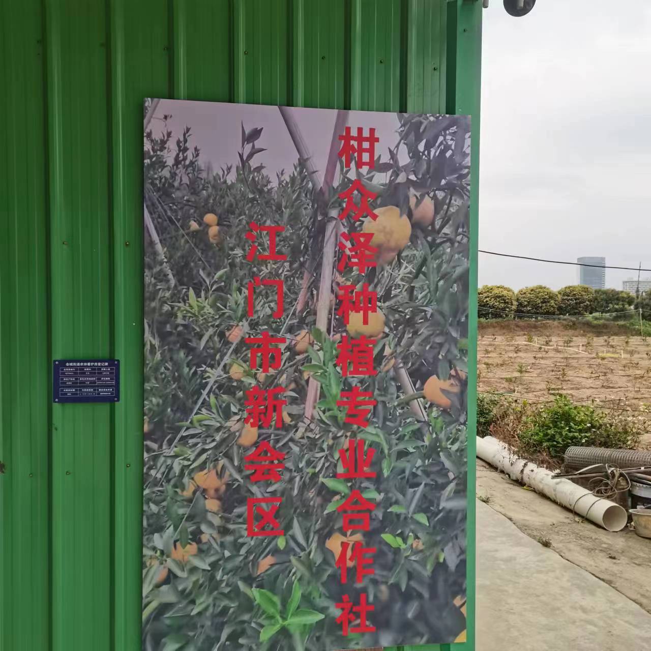 主体照片 4