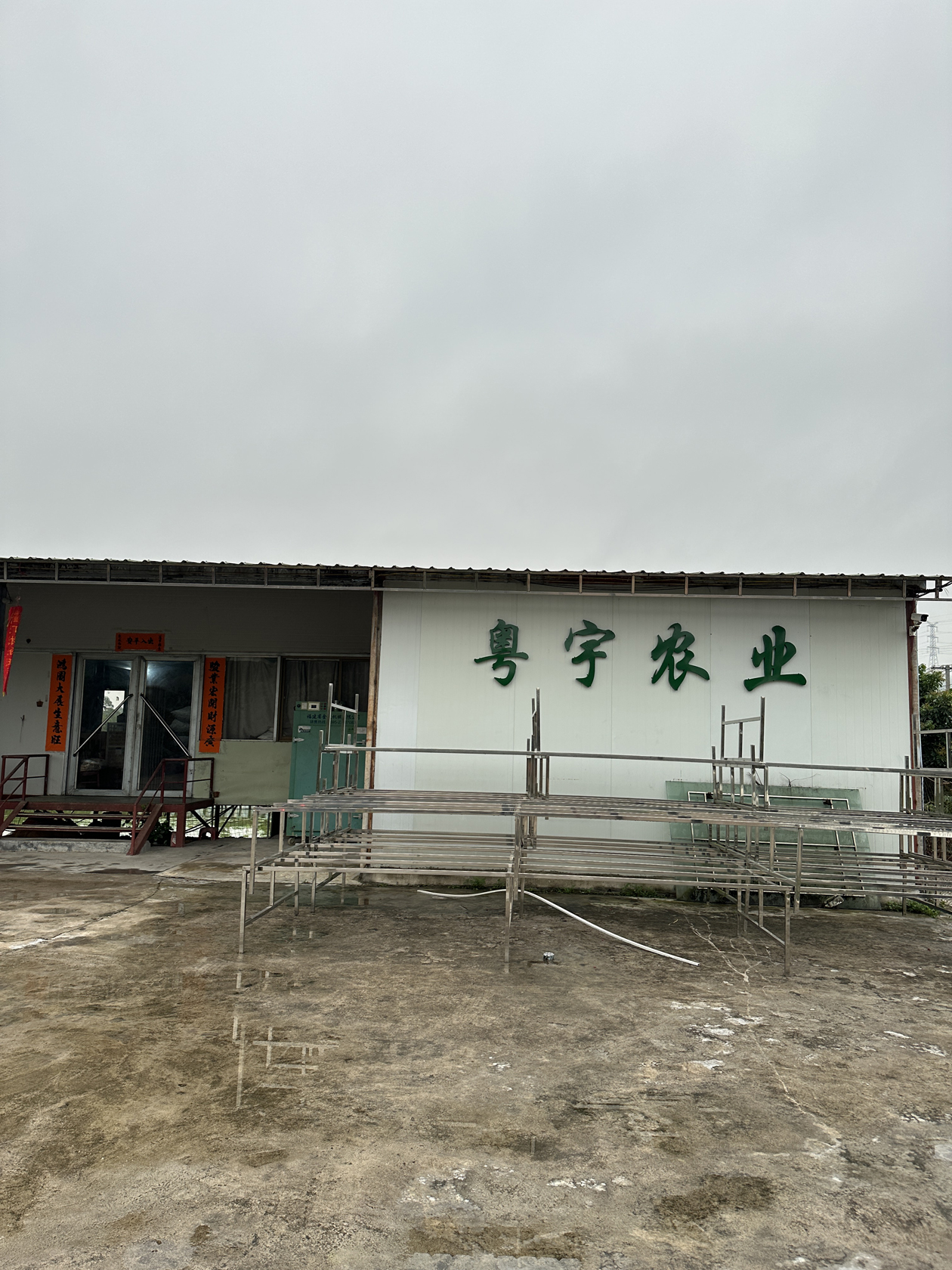 主体照片 3