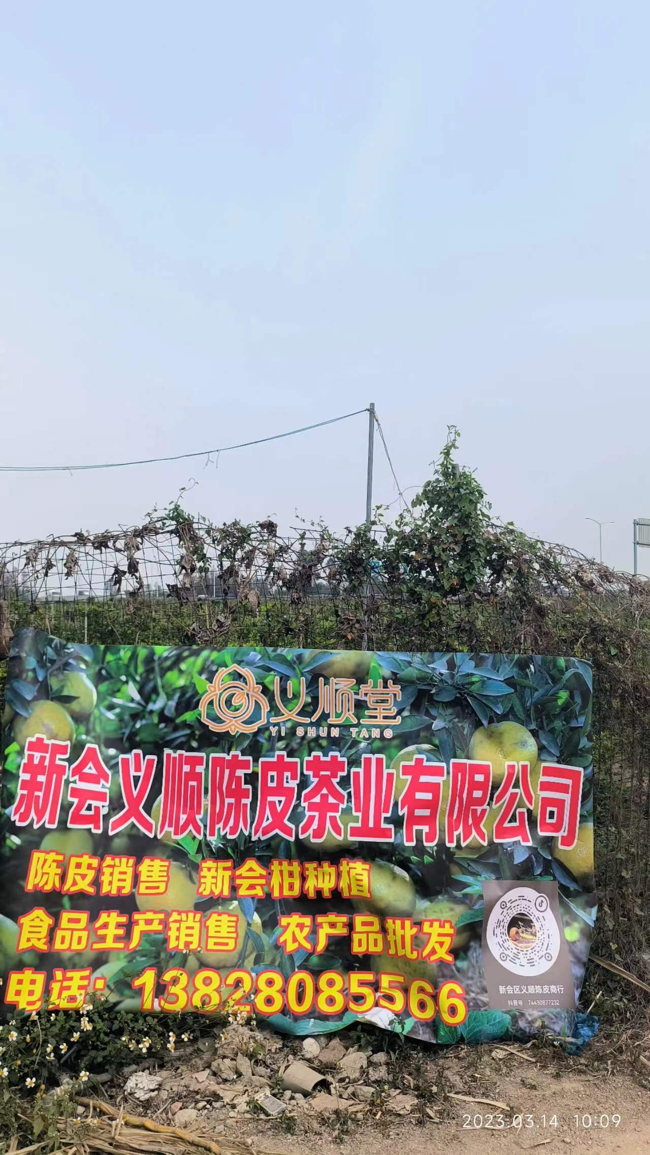 主体照片 3