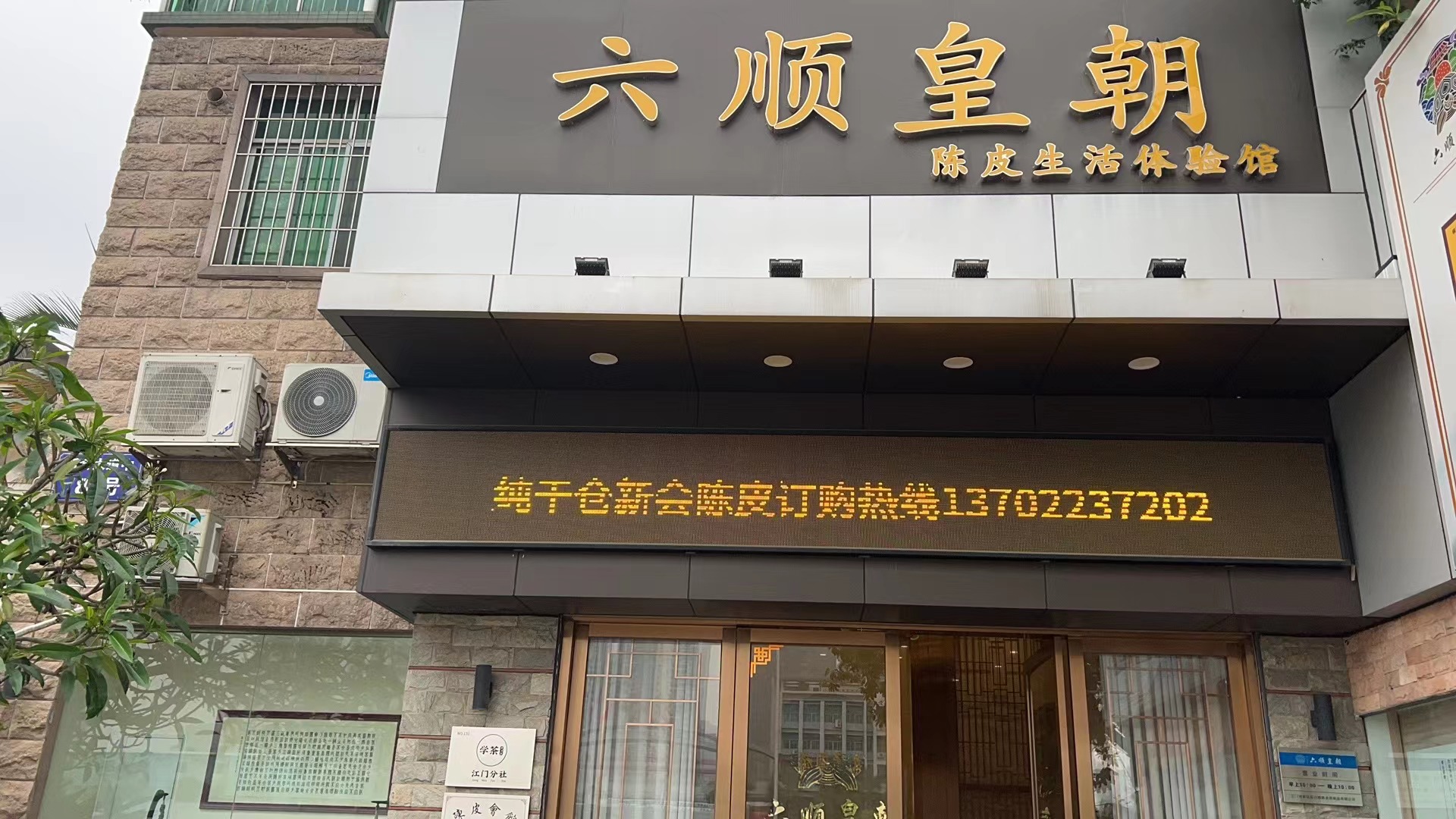 主体照片 5