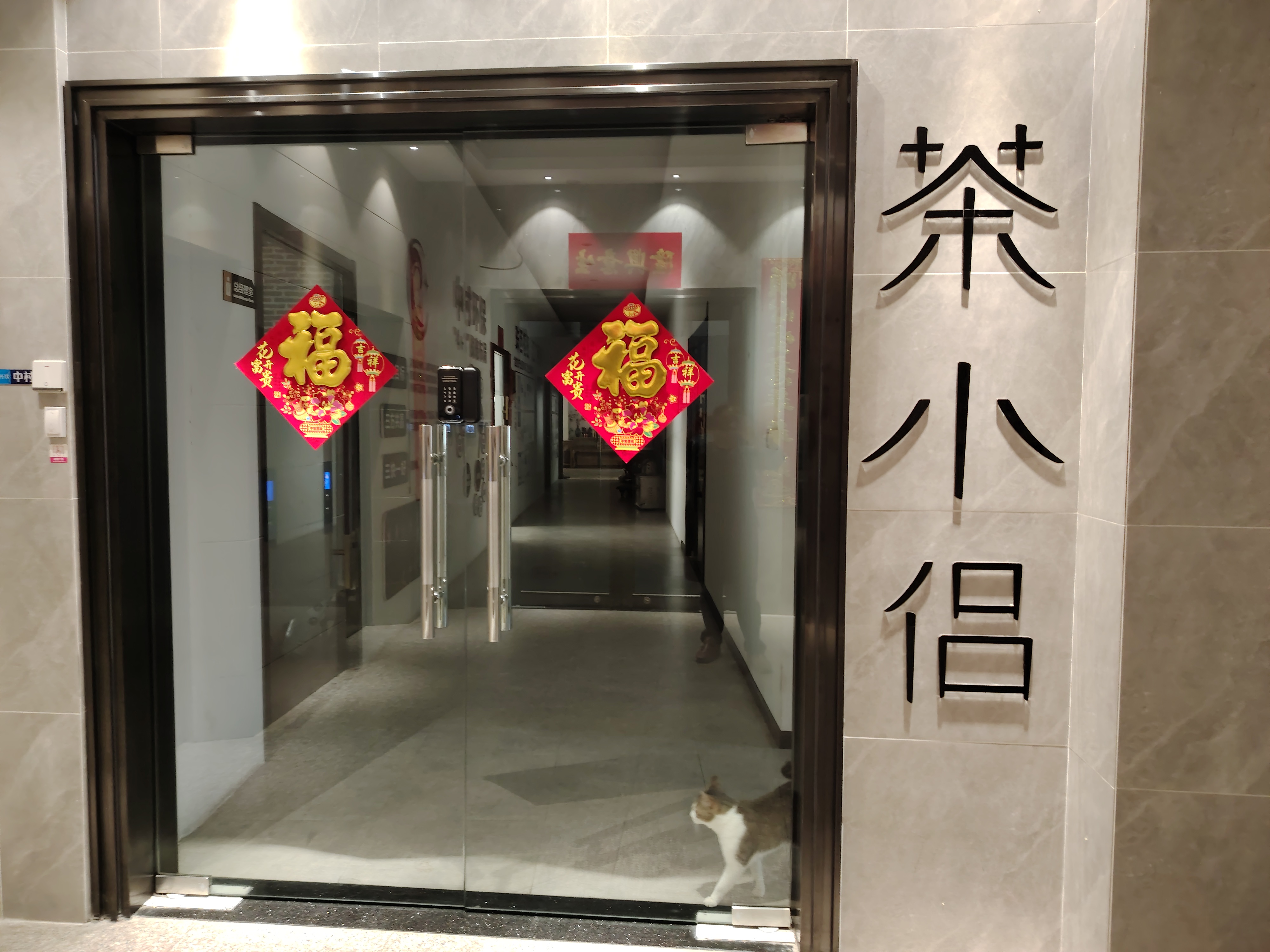主体照片 3