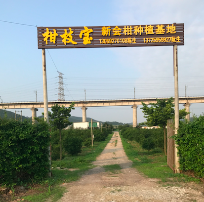 主体照片 3