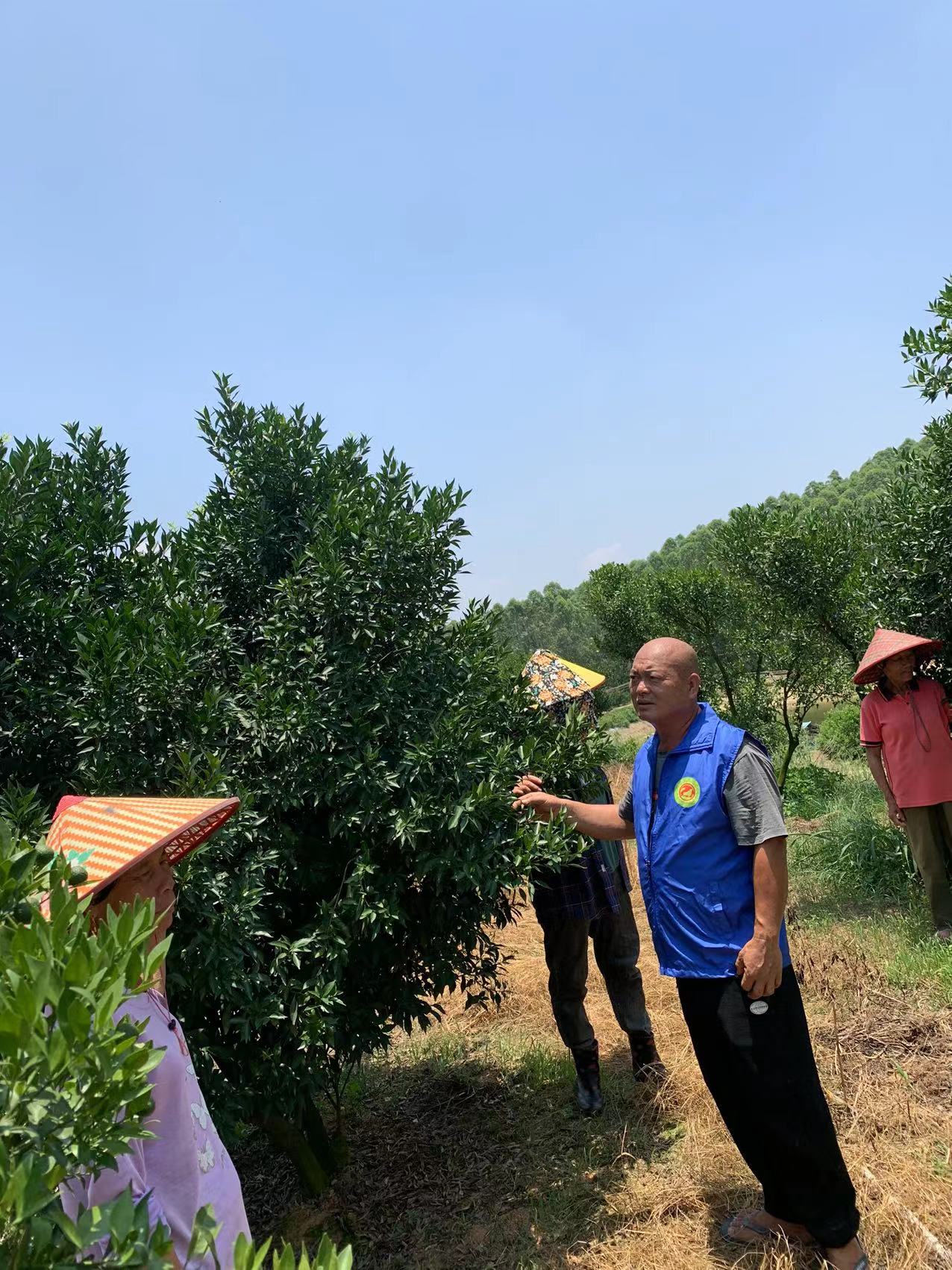 主体照片 6