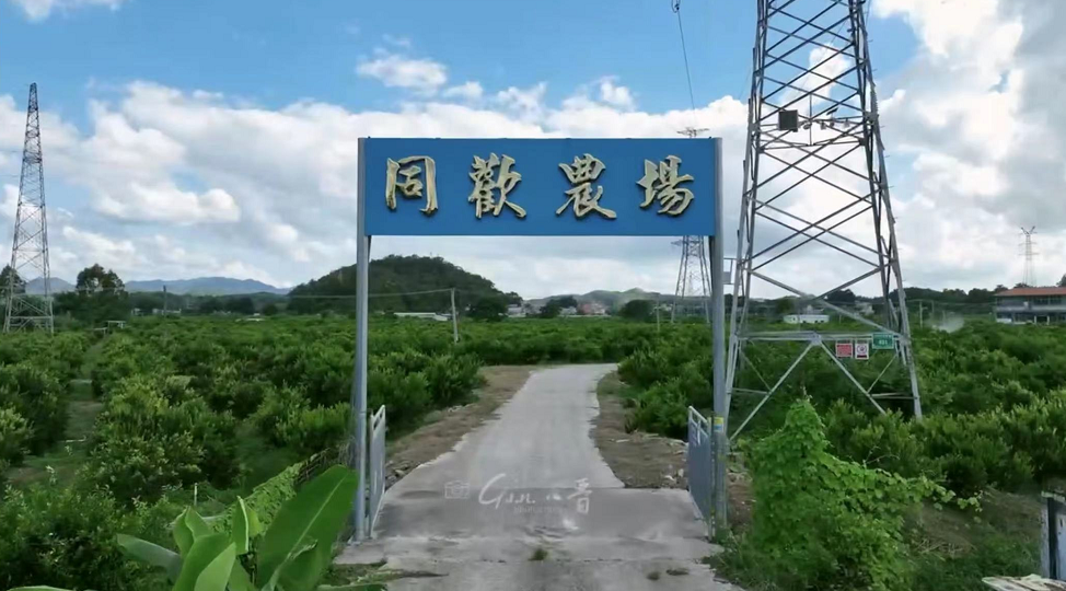 主体照片 1