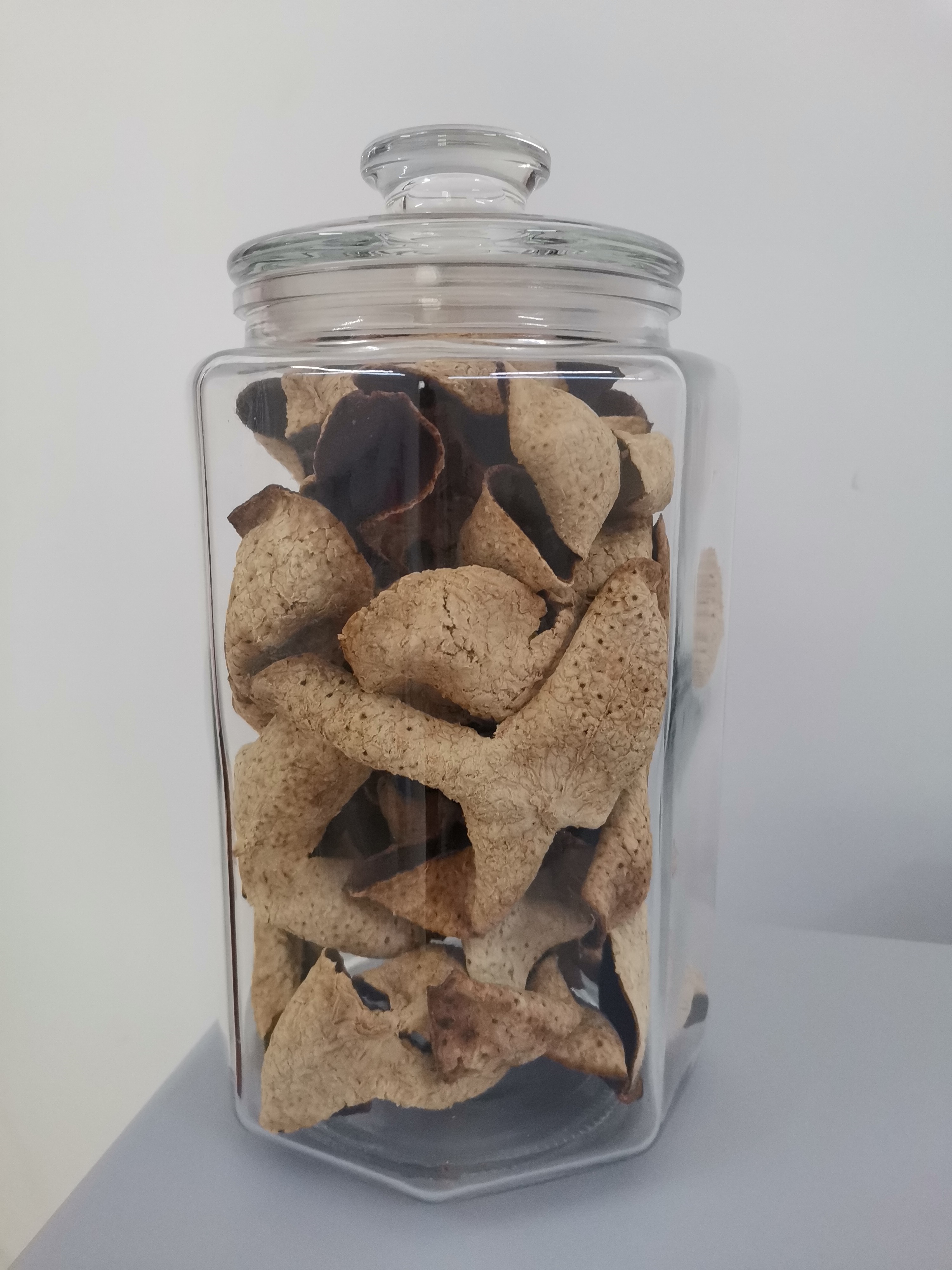 主体照片 1