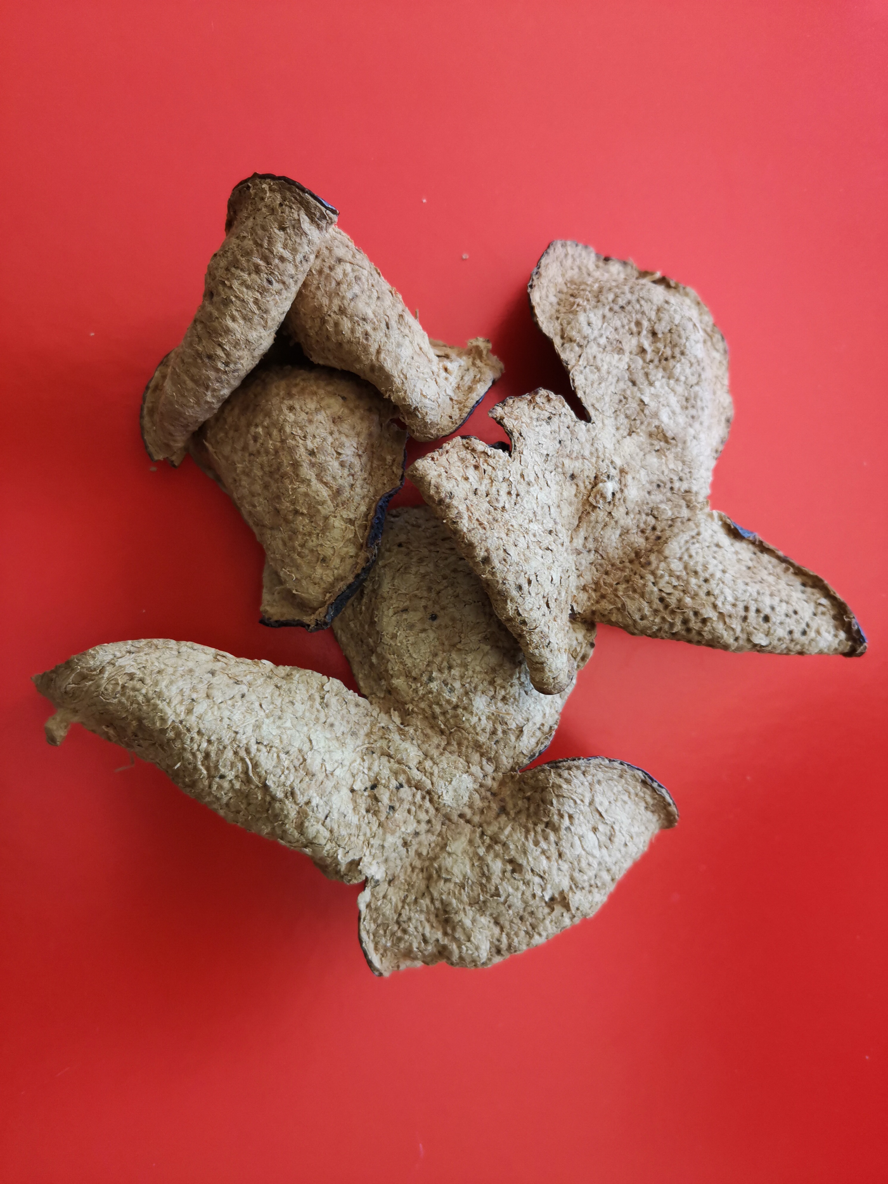 主体照片 2