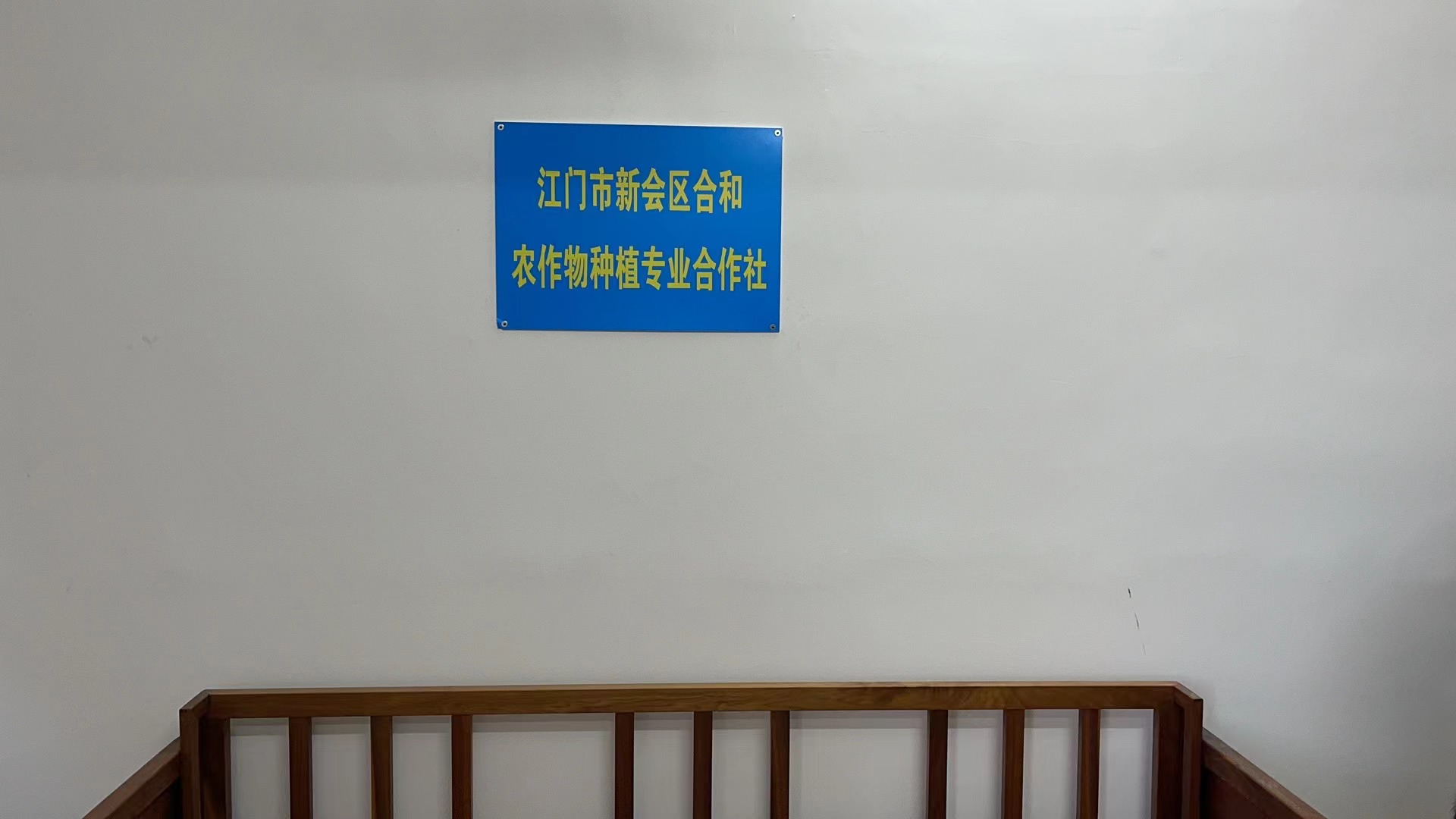 主体照片 1