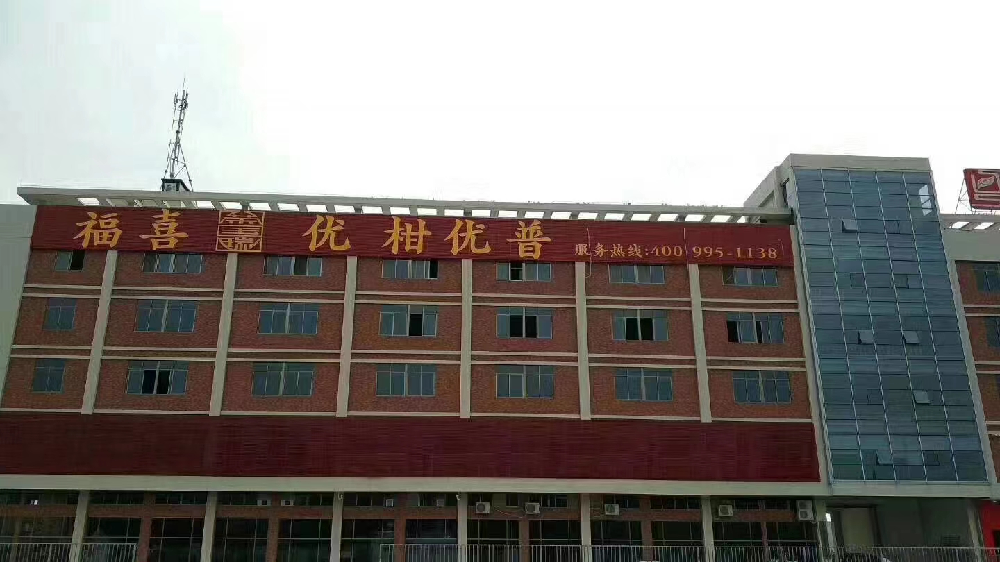 主体照片 1