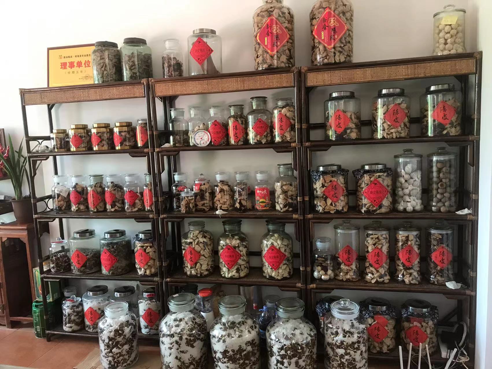 主体照片 3