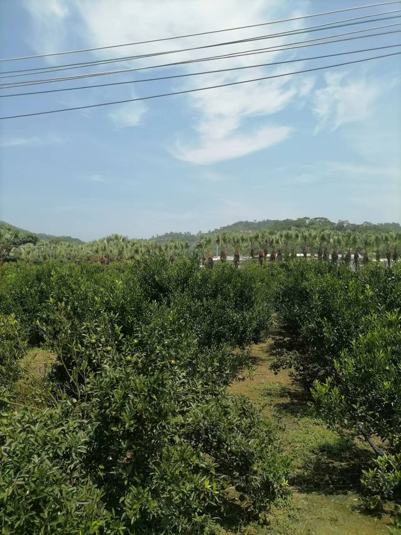 主体照片 10