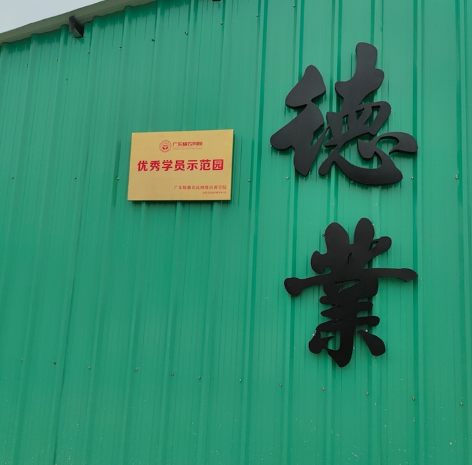 主体照片 2