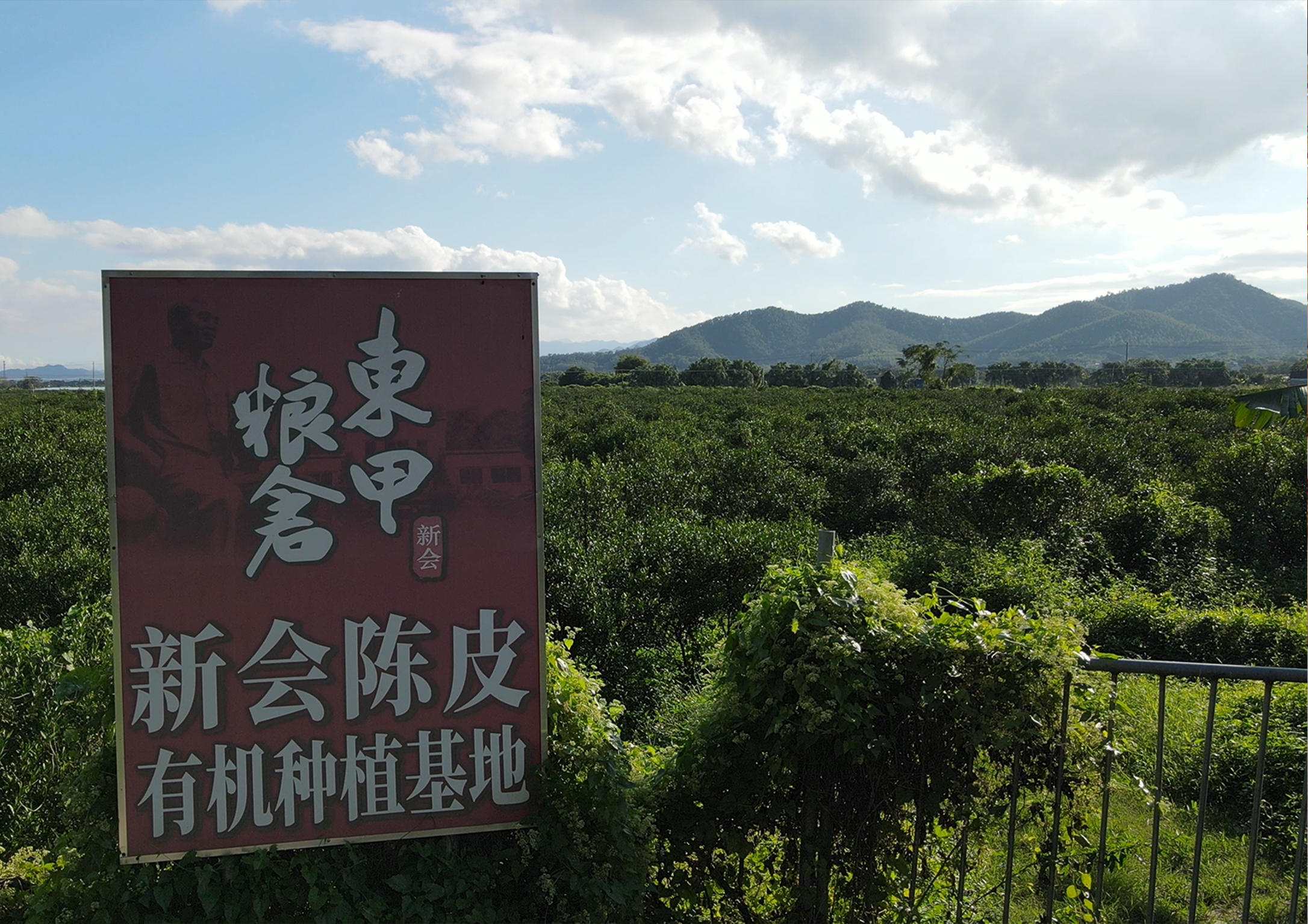 主体照片 6