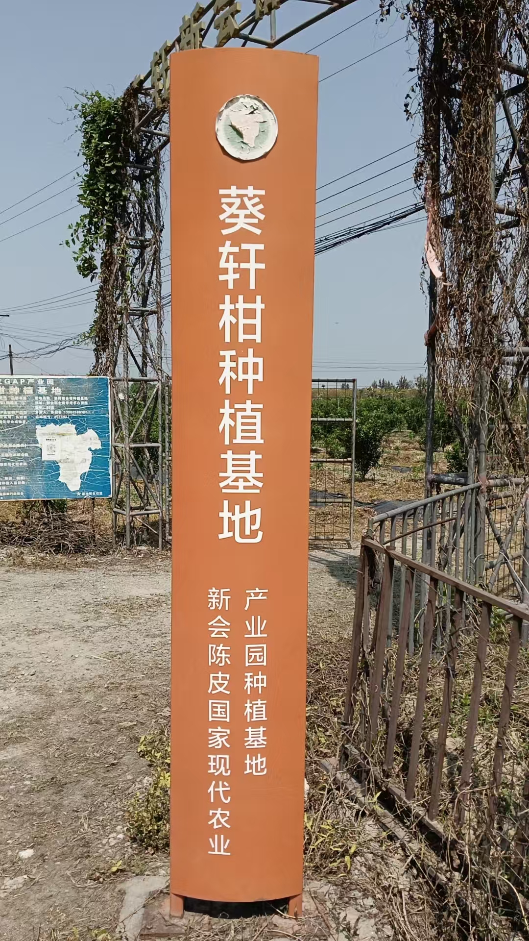 主体照片 4