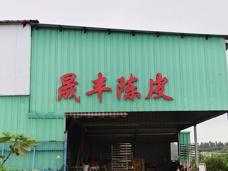主体照片 1
