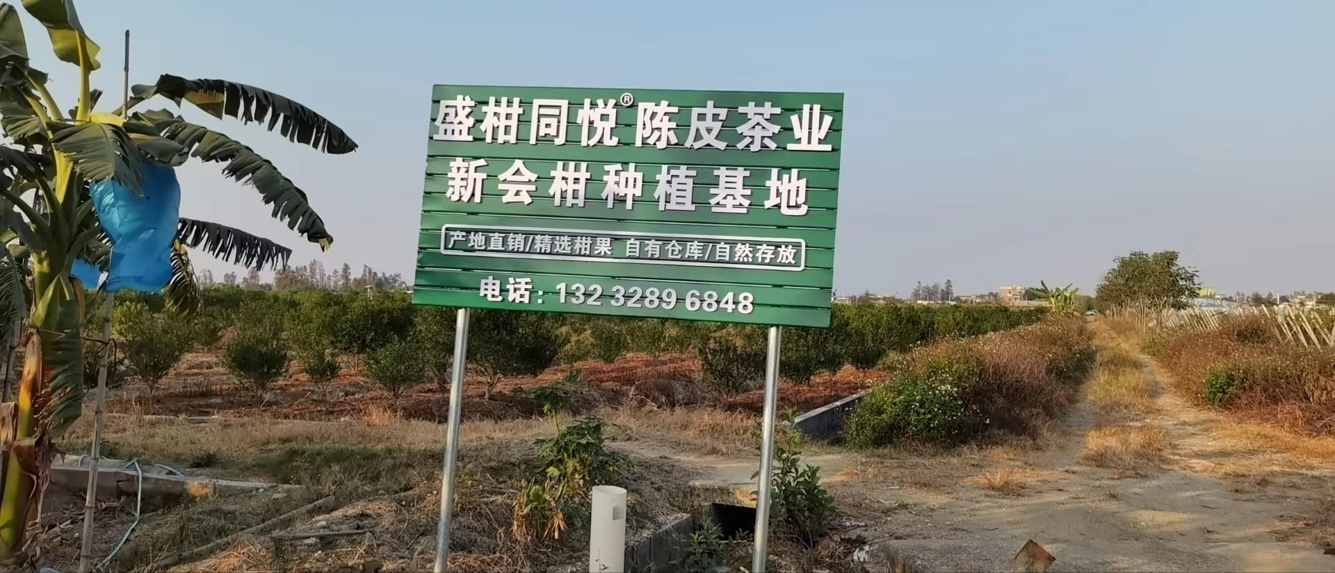 主体照片 7