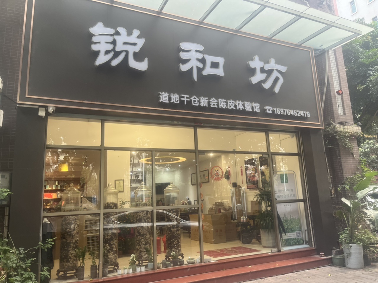 主体照片 1