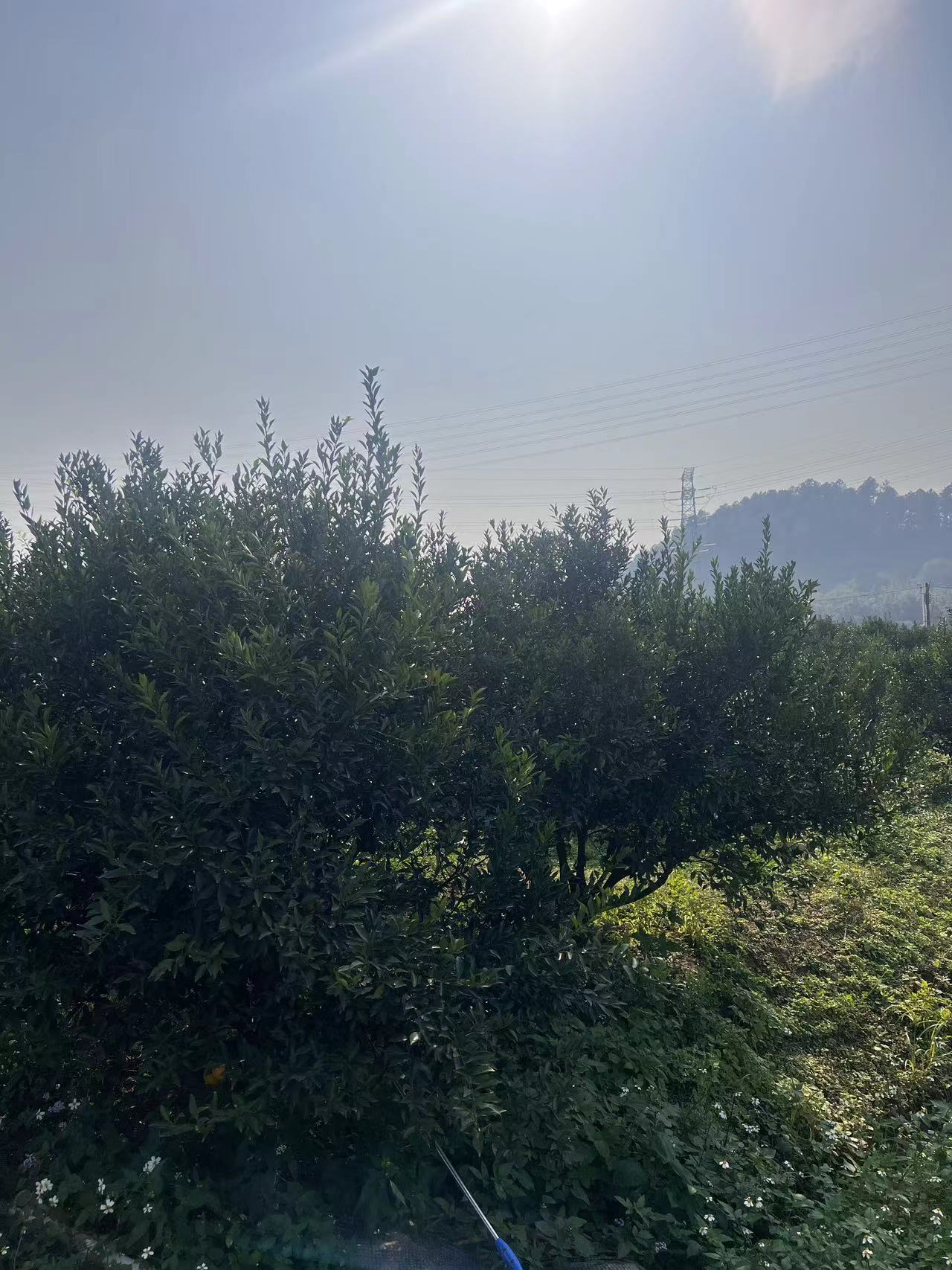 主体照片 6