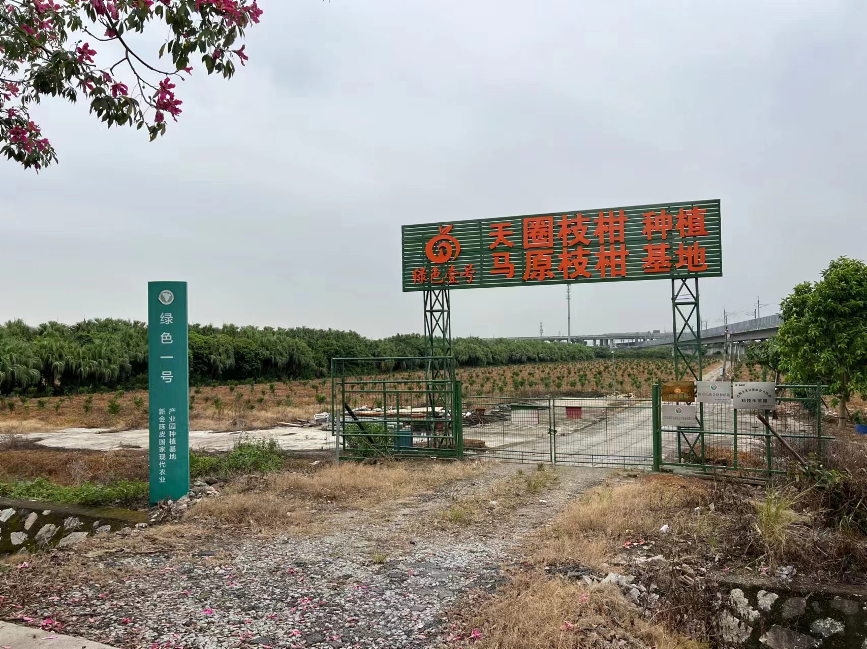 主体照片 3