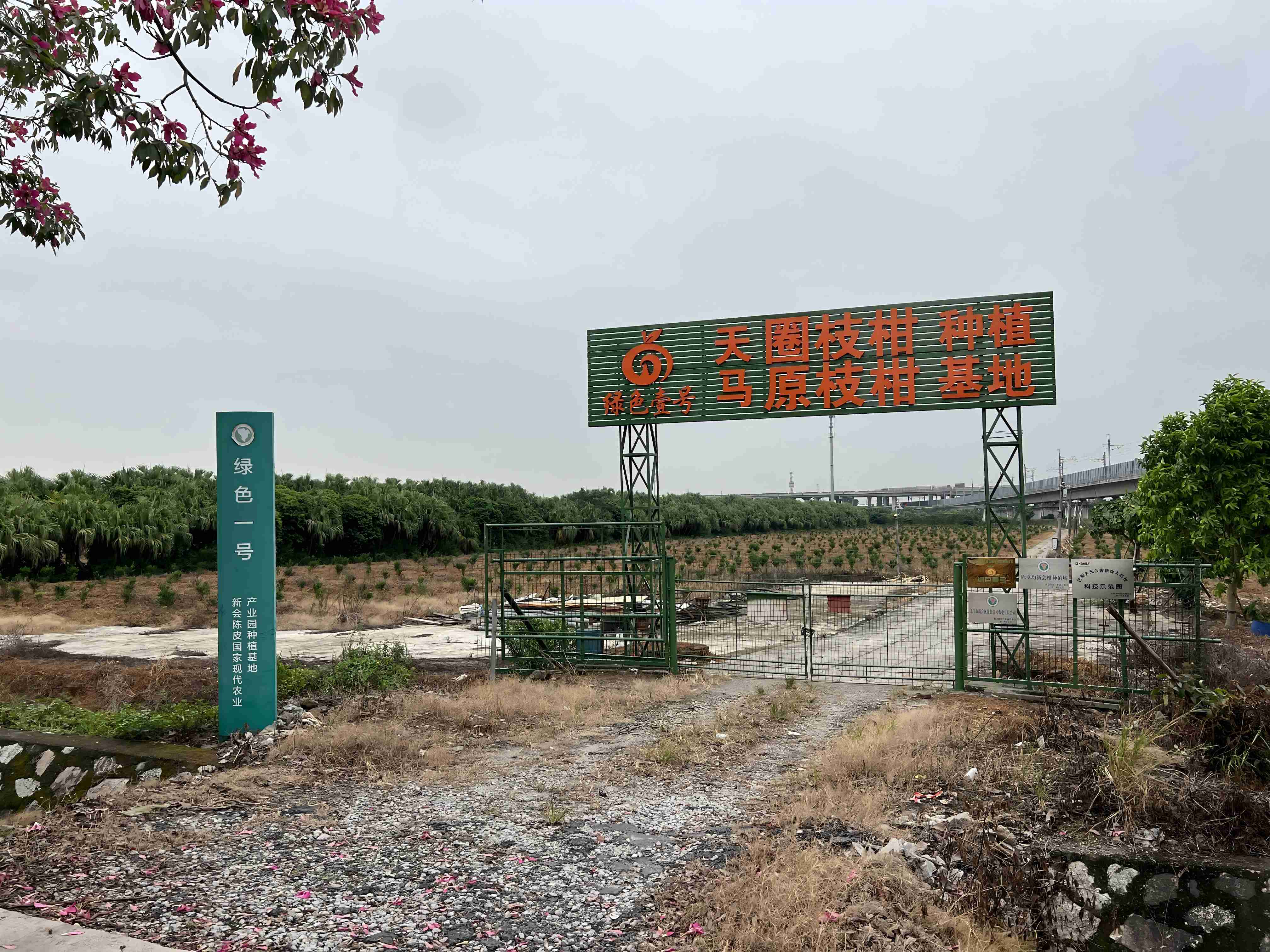 主体照片 2