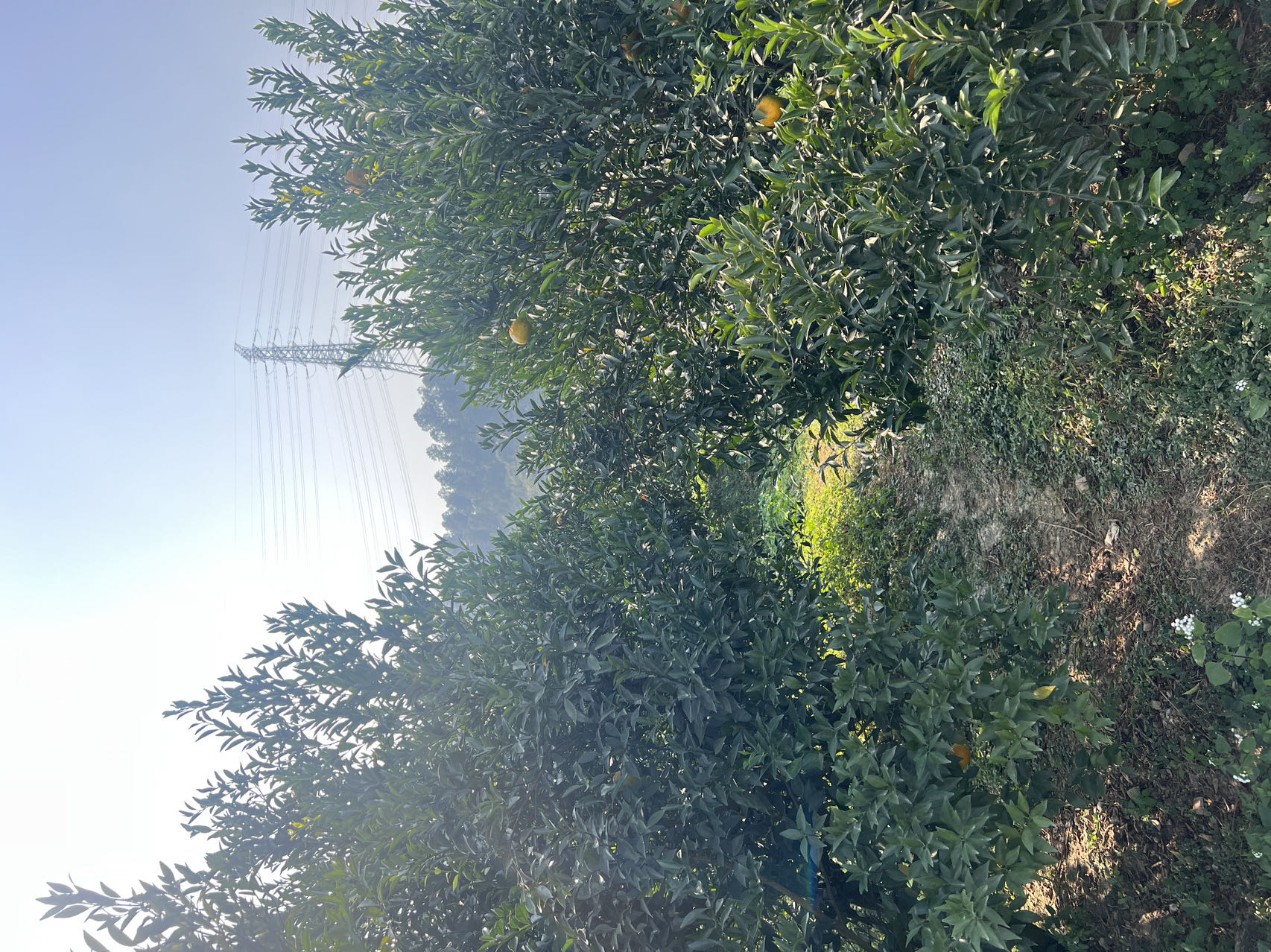 主体照片 5
