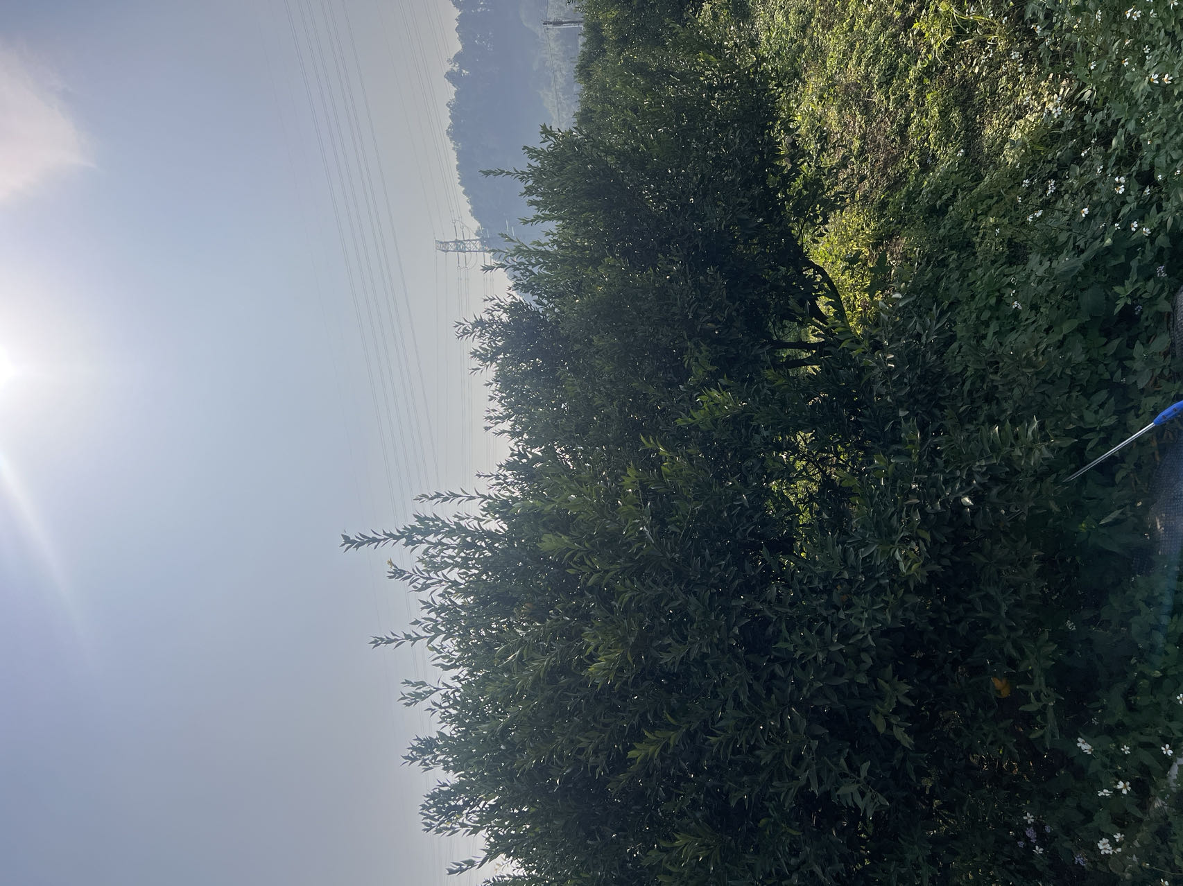 主体照片 6