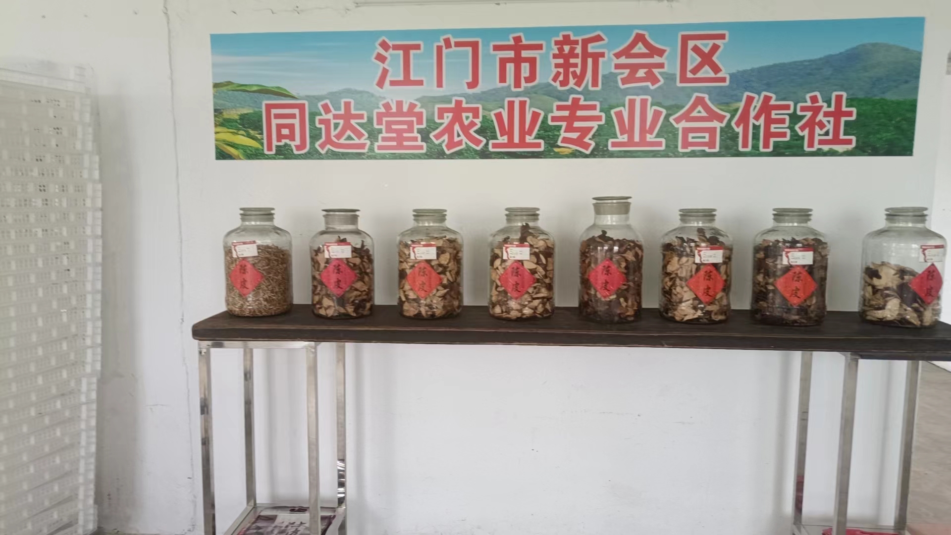 主体照片 2
