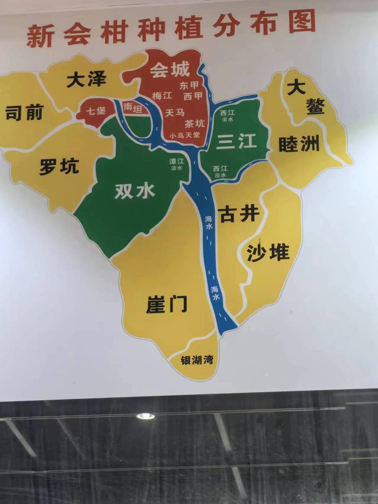 主体照片 3