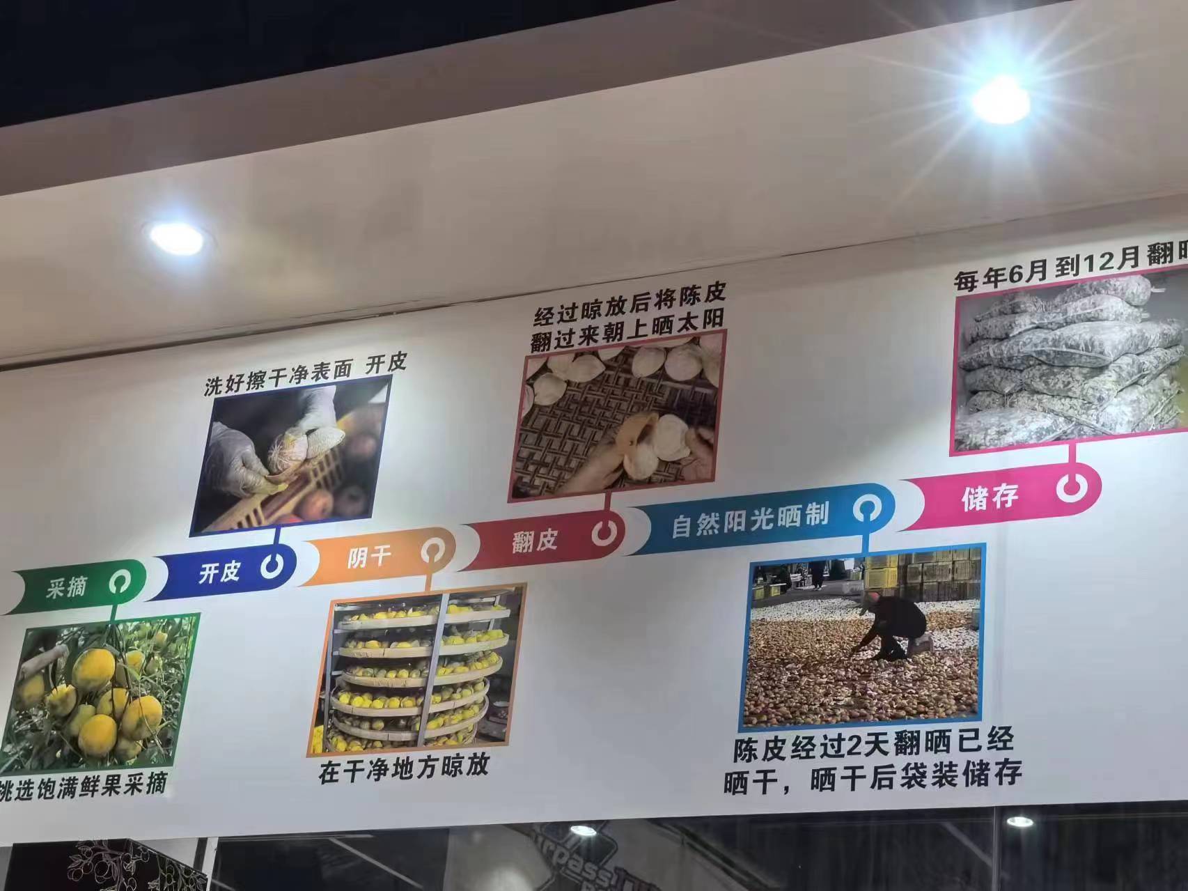 主体照片 4