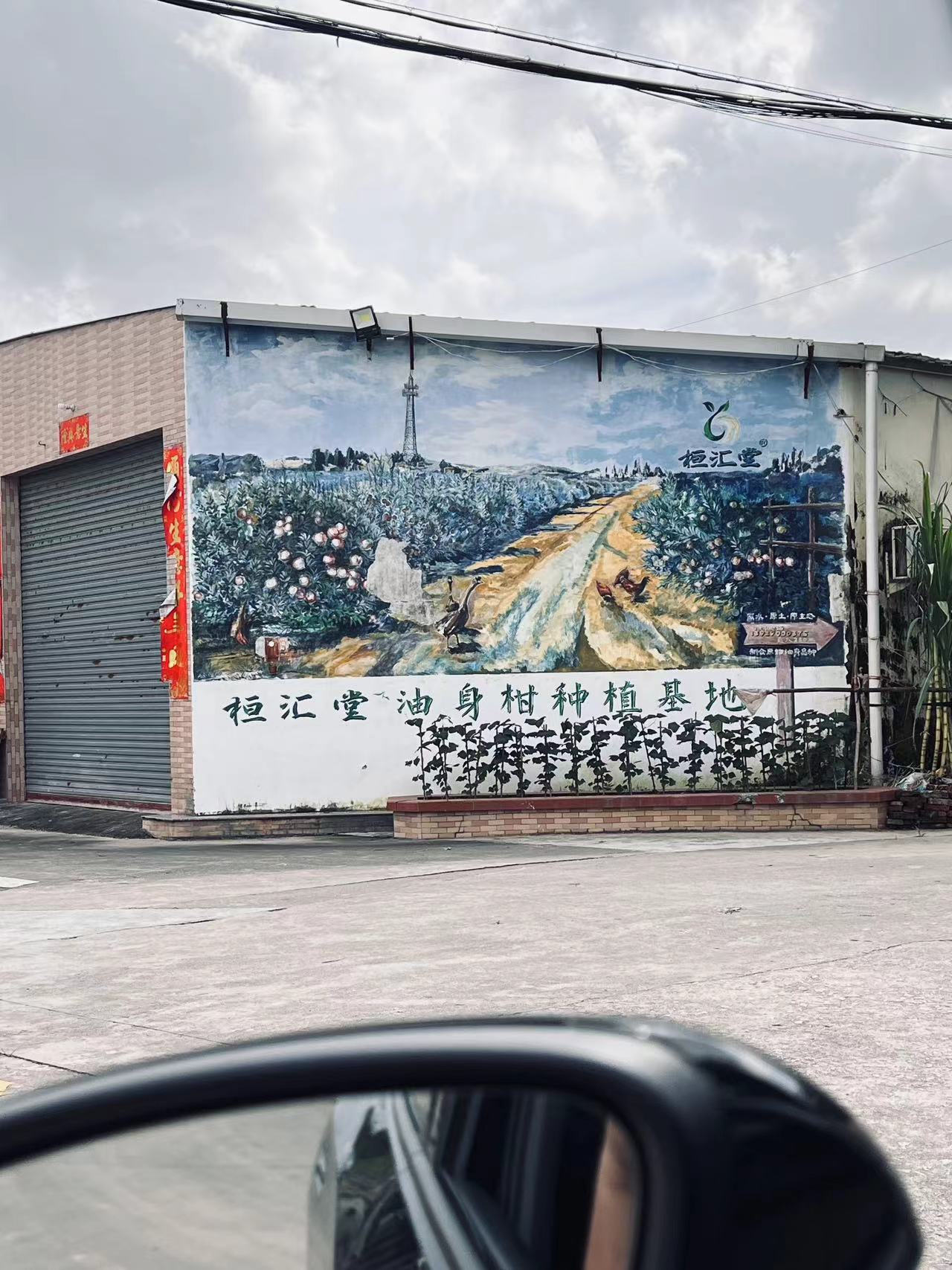 主体照片 1