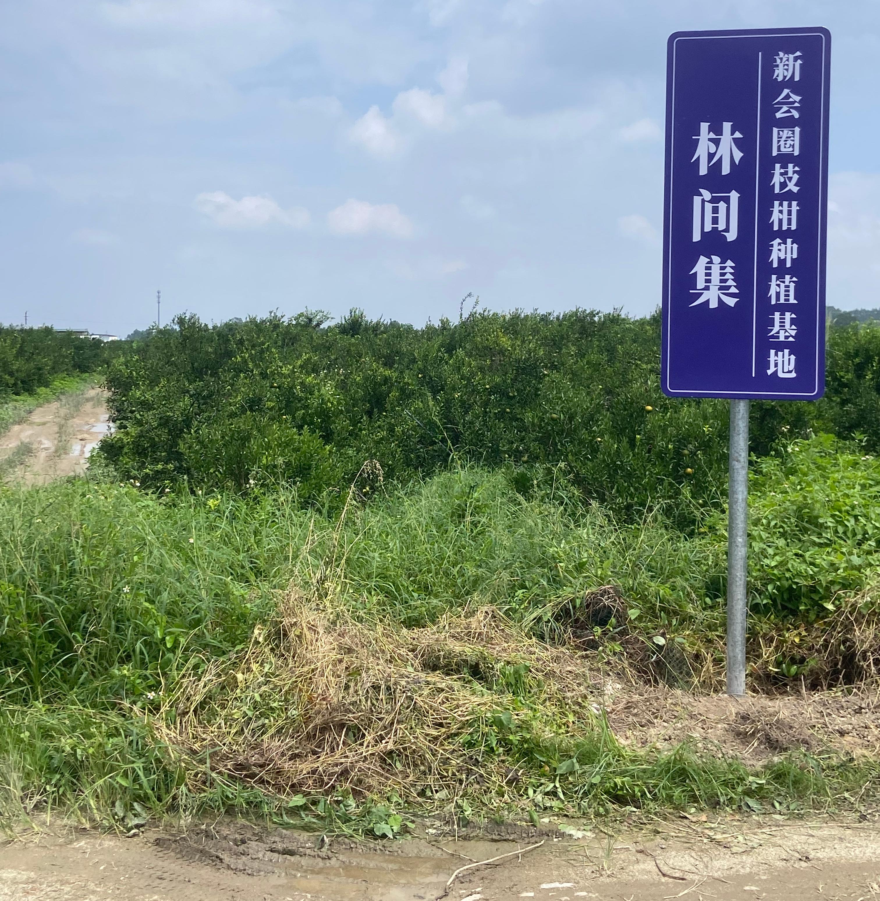 主体照片 4