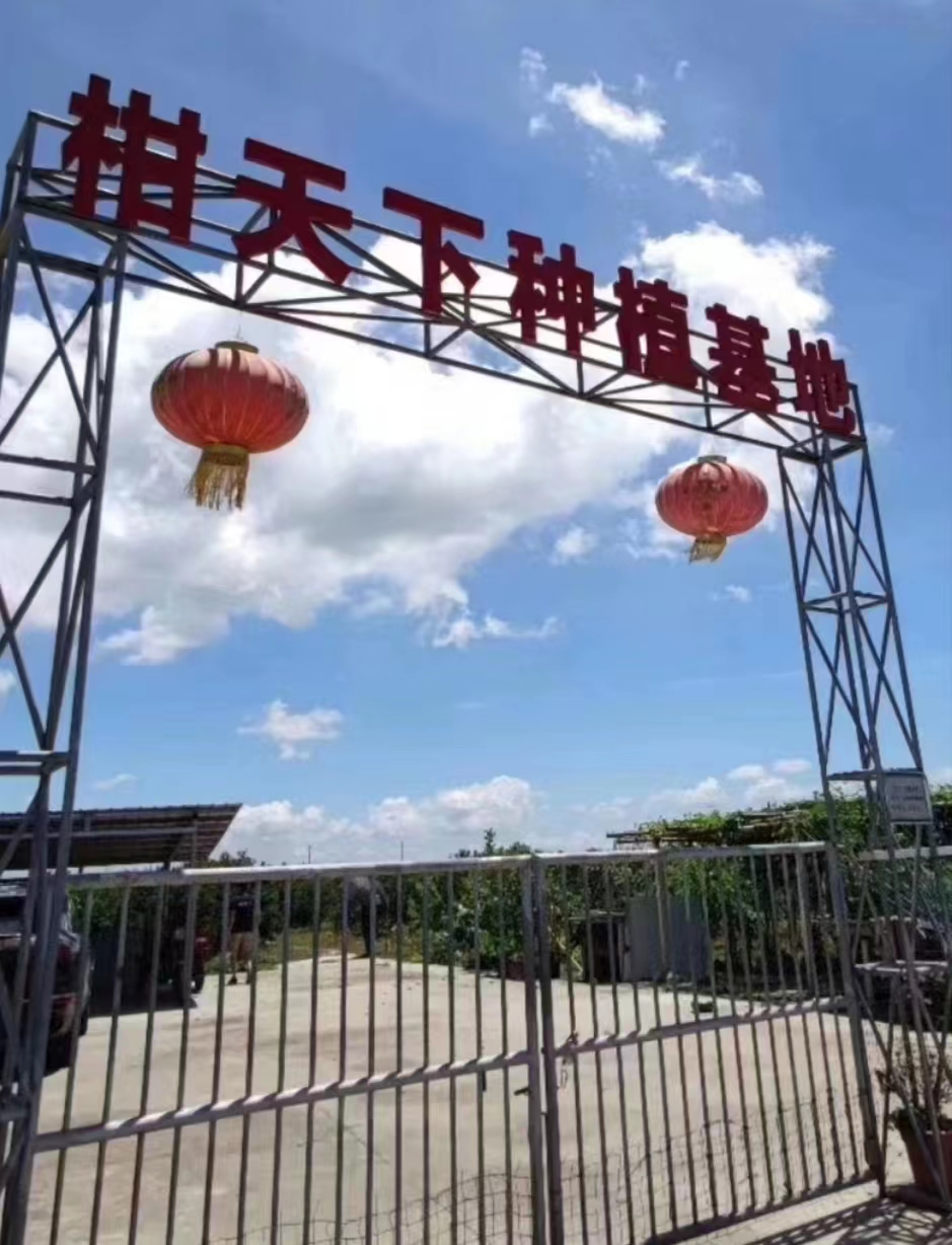 主体照片 6
