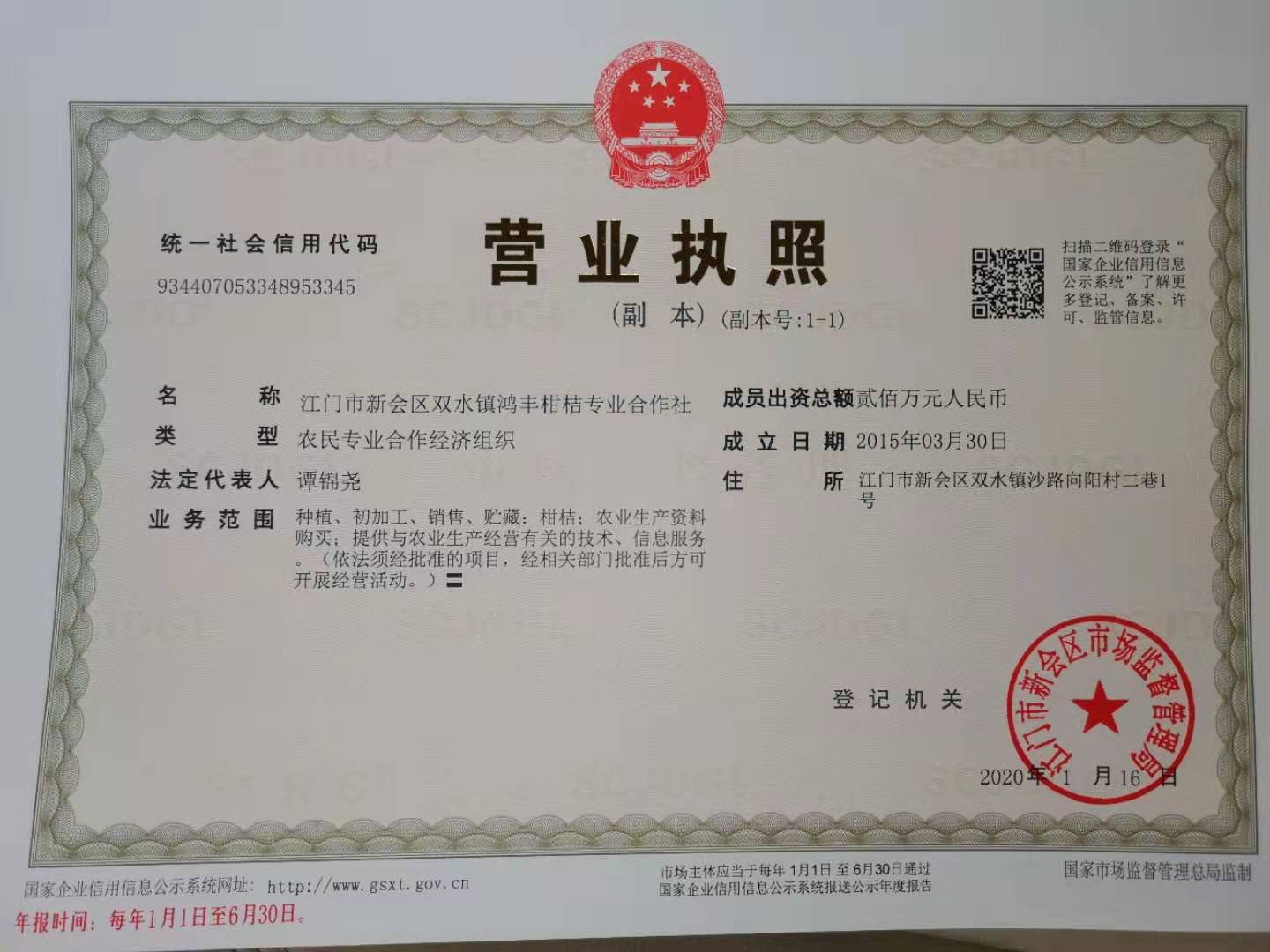 主体照片 1