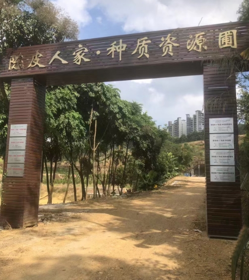 主体照片 6